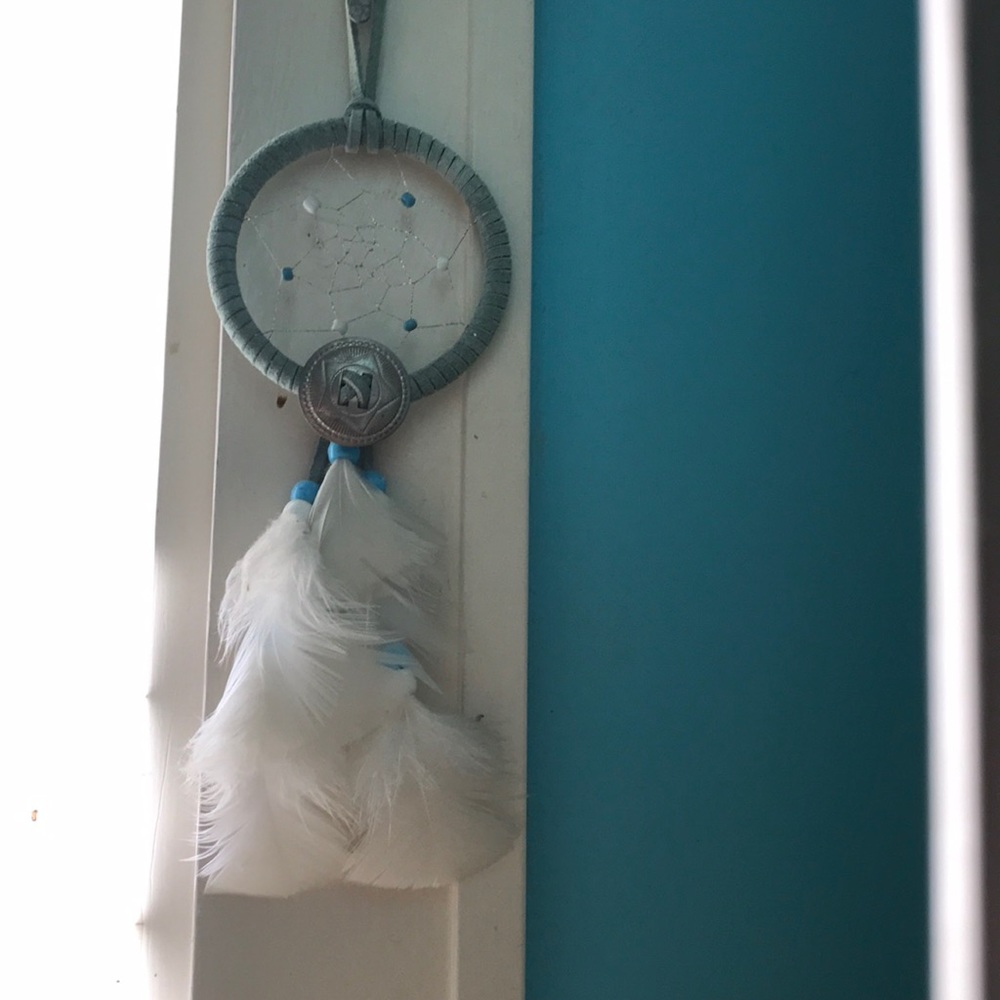DREAM CATCHER